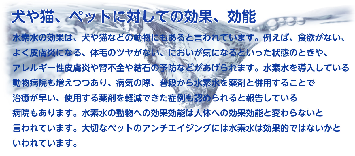 ペット用飲料水　AY商工　水素水