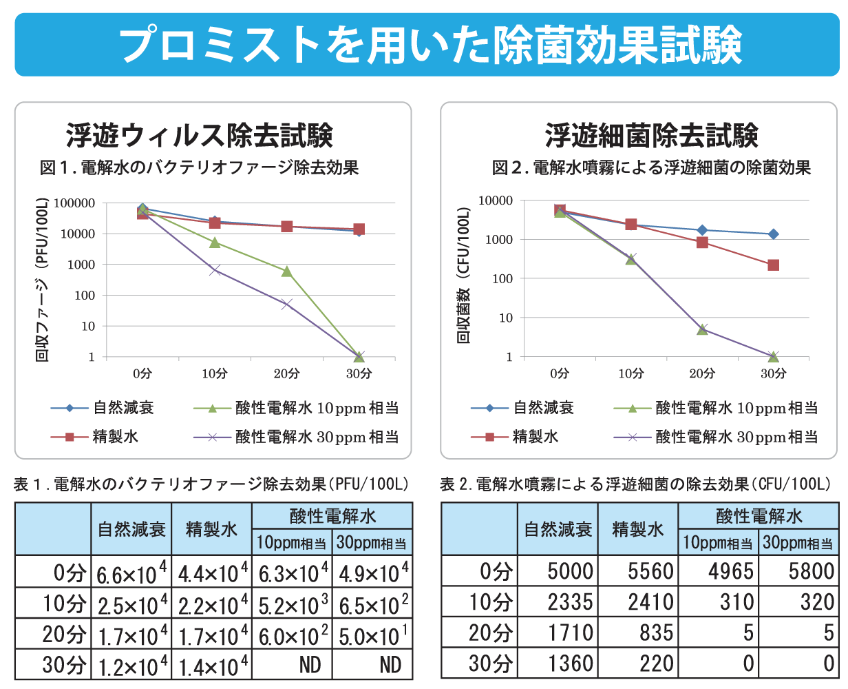 プロミスト